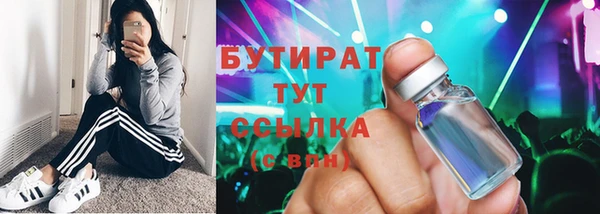 гашик Алексин