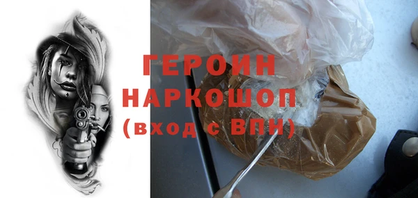 гашик Алексин