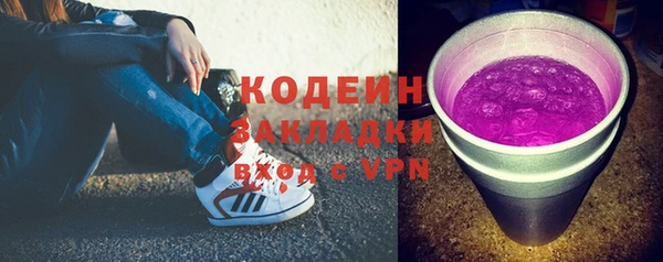 гашик Алексин
