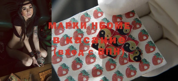 гашик Алексин