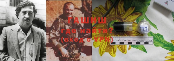 гашик Алексин