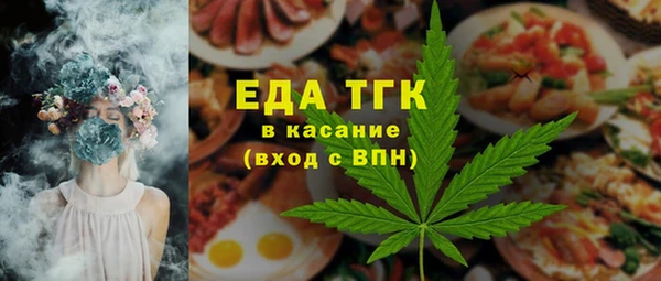 гашик Алексин