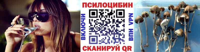 Галлюциногенные грибы ЛСД  где купить наркотик  Плавск 